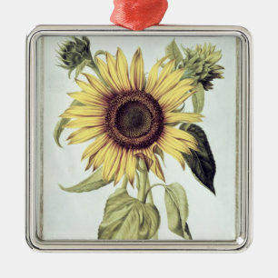 Ornamento De Metal Helianthus annuus 'de Velins du Roi Vol.36'