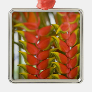 Ornamento De Metal Heliconia Pendente, Frutas de terça-feira semanal 