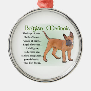 Ornamento De Metal Herança de Malinois do belga do amor