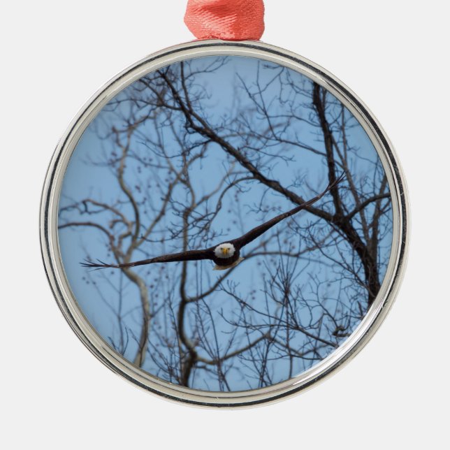 Ornamento De Metal Hetero Na Águia (Frente)