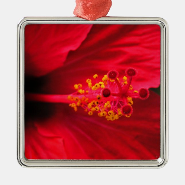 Ornamento De Metal Hibiscus (Frente)