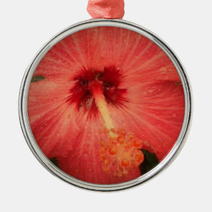 Ornamento De Metal Hibiscus Grunge Ampliou o Centro da Flor