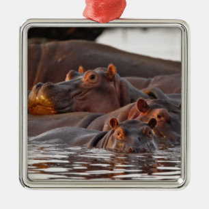 Ornamento De Metal Hipopótamo, Hippopotamus amphibius, Lago