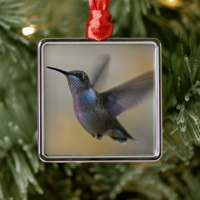 Ornamento De Metal Hummingbird Em Flutter (Árvore)