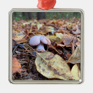 Ornamento De Metal Humor de Cogumelo