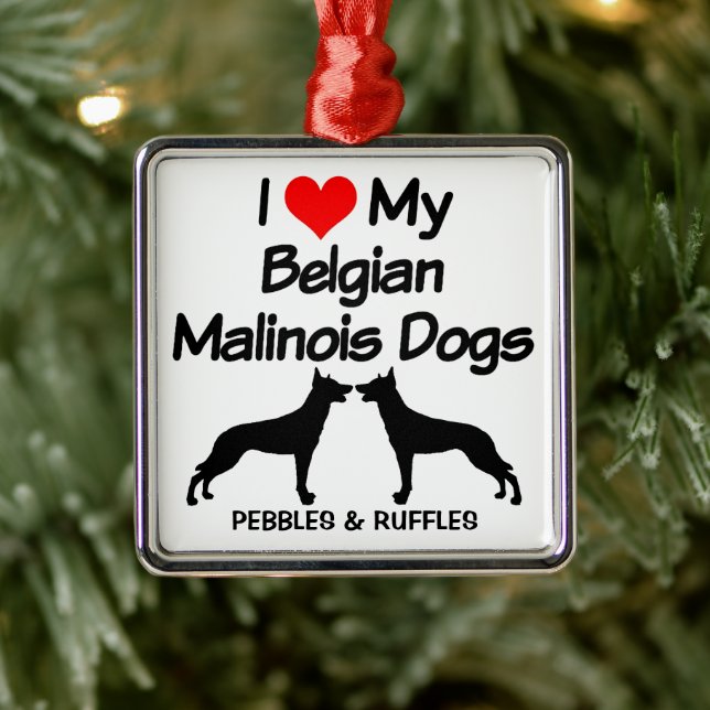 Ornamento De Metal I Love My Two Belgian Malinois Dogs (Árvore)