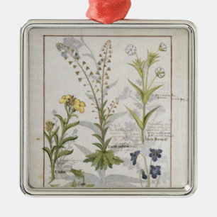 Ornamento De Metal Ilustração do "livro das medicinas simples" 2