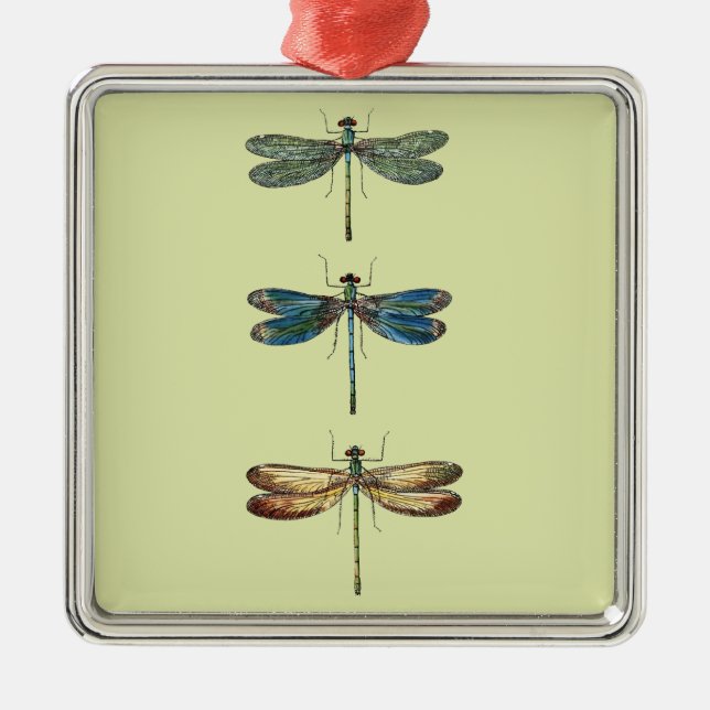 Ornamento De Metal Ilustrações da libélula (Frente)