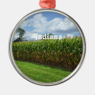 Ornamento De Metal Indiana
