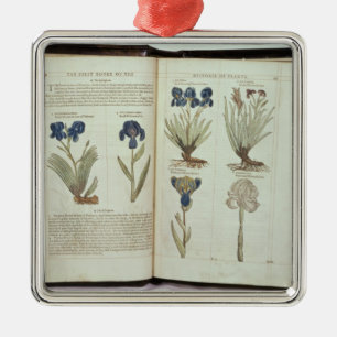 Ornamento De Metal Íris