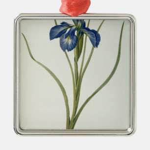 Ornamento De Metal Íris Xyphioides, de "Les Liliacees", 1808