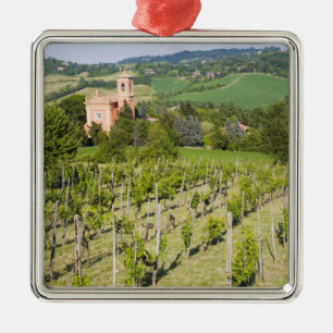 Ornamento De Metal Italia, Bolonha, vista através do vinhedo a Chies