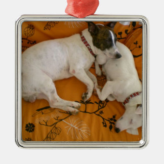 Ornamento De Metal Jack Russell Terrier