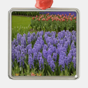 Ornamento De Metal Jardim de Tulipas e Jacintos, Jardins Keukenhof,