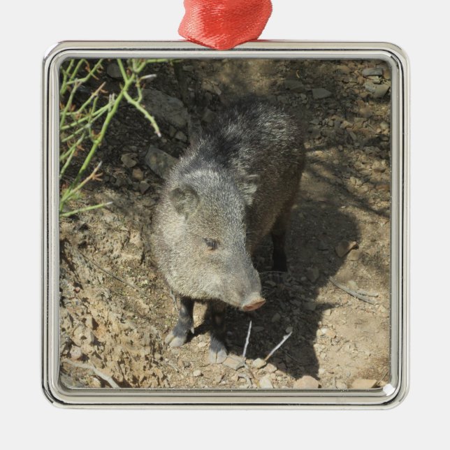 Ornamento De Metal Javelina (Frente)