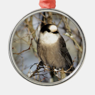 Ornamento De Metal Jay cinzento