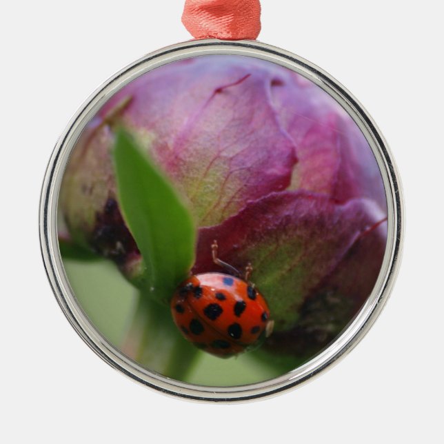 Ornamento De Metal Joaninha (Frente)