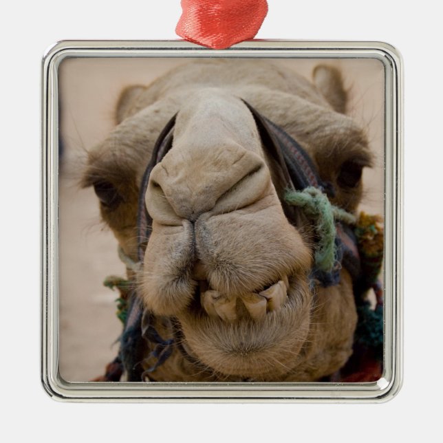 Ornamento De Metal Jordânia, antiga cidade nabatiana de Petra (Frente)