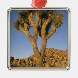 Ornamento De Metal Joshua Tree, Yucca brevifolia), e granito