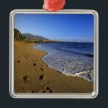 Ornamento De Metal Kaanapali Beach, Maui, Havaí, EUA<br><div class="desc">praia de Kaanapali,  Maui,  Havaí,  EUA � Michael DeFreitas / DanitaDelimont.com</div>