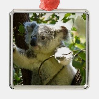 Ornamento De Metal Koala cutie