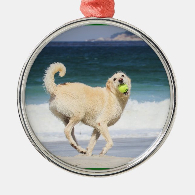 Ornamento De Metal Labradoodle - dia feliz na praia (Frente)