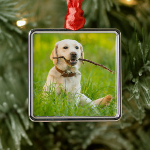 Ornamento De Metal Labrador Amarelo Reproduz Feixe