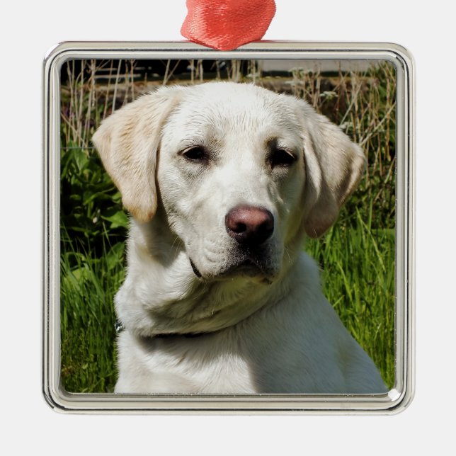 ORNAMENTO DE METAL LABRADOR DOG (Frente)