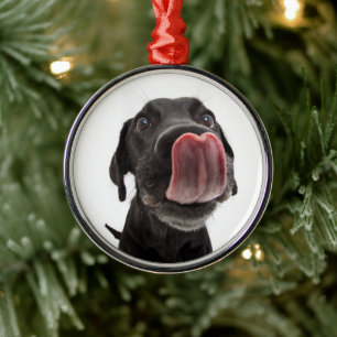 Ornamento De Metal Labrador Negro A Soltar O Nariz