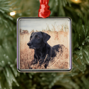Ornamento De Metal Labrador Preto De Grama Seca