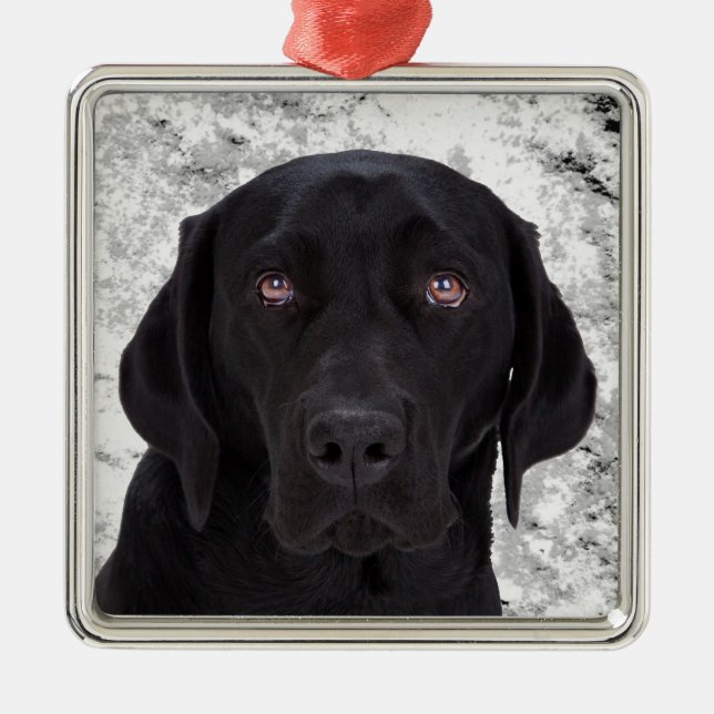 Ornamento De Metal Labrador retriever preto (Frente)