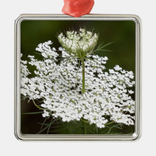 Ornamento De Metal Lace da Rainha Ann