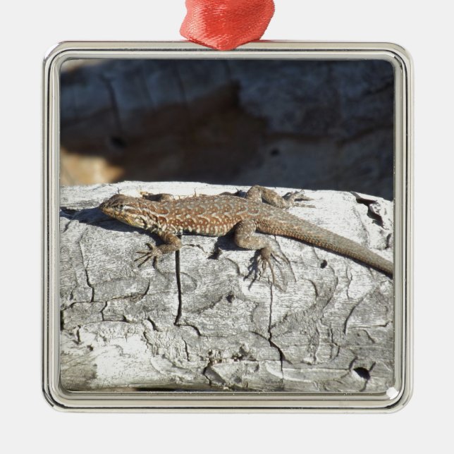 Ornamento De Metal Lagarto (Frente)