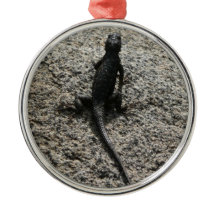 Lagarto Preto