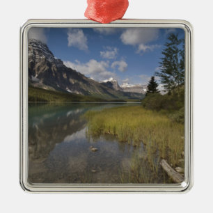 Ornamento De Metal Lago de aves aquáticas ao longo da Icefields parkw