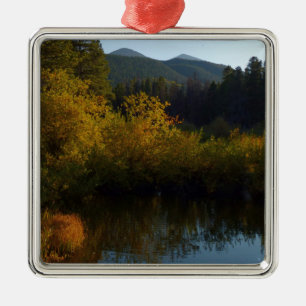 Ornamento De Metal Lago Sprague no Outono