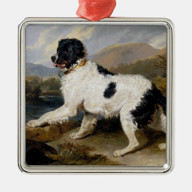 Ornamento De Metal Landseer Newfoundland Dog (Black and White Animal) (Frente)