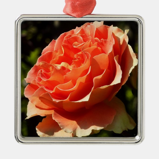Ornamento De Metal Laranja Rosa II Belo Floral (Frente)