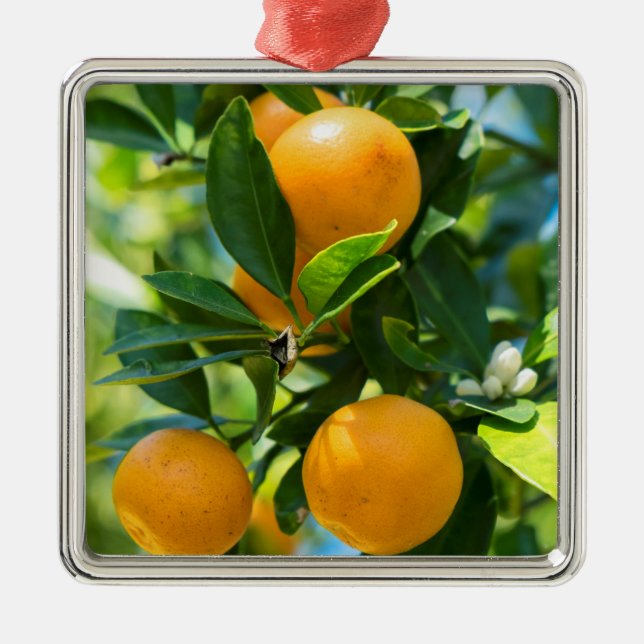 Ornamento De Metal Laranjeira em Frutificação (Frente)