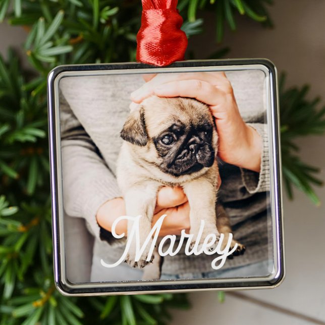 Ornamento De Metal Lembrança de Foto de Animal de Estimação Personali (Criador carregado)