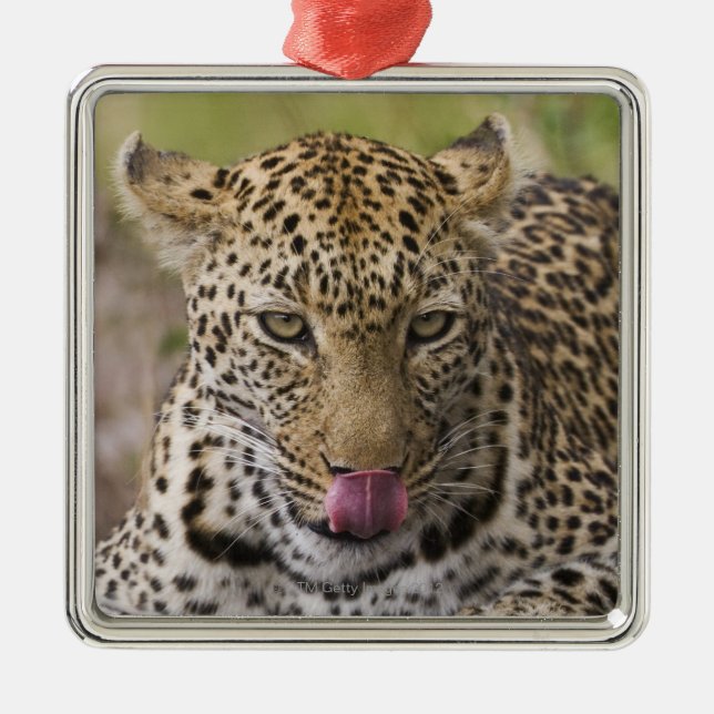 Ornamento De Metal Leopardo (Frente)