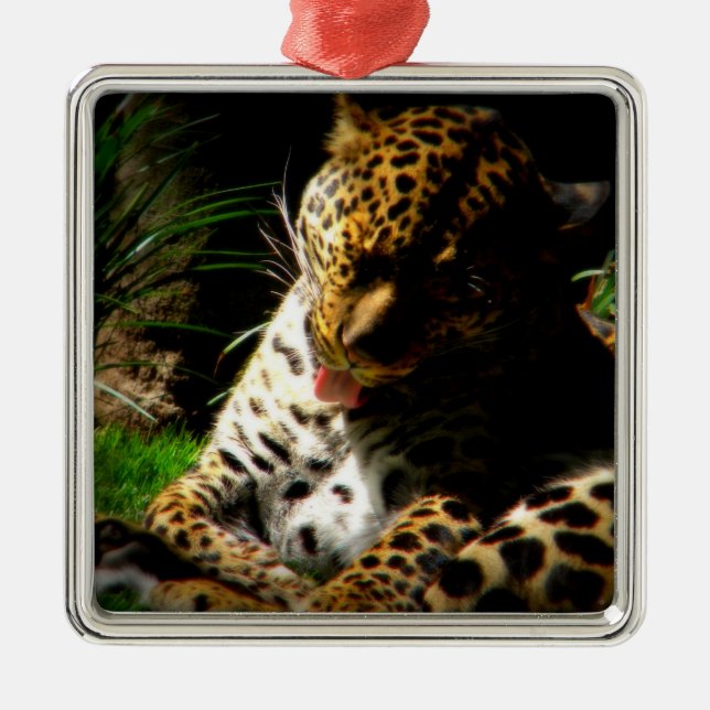 Ornamento De Metal Leopardo-balneário (Frente)