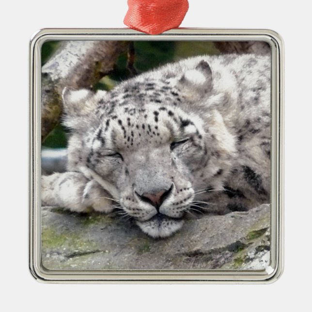 Ornamento De Metal Leopardo de Neve - lindo! (Frente)