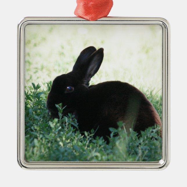 Ornamento De Metal Lil Black Bunny (Frente)