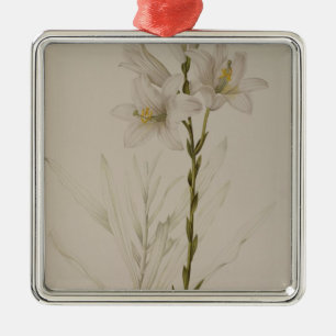 Ornamento De Metal Lilium Candidum, de "Les Liliacees", 1807