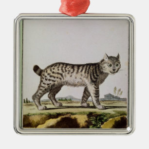 Ornamento De Metal Lince canadense