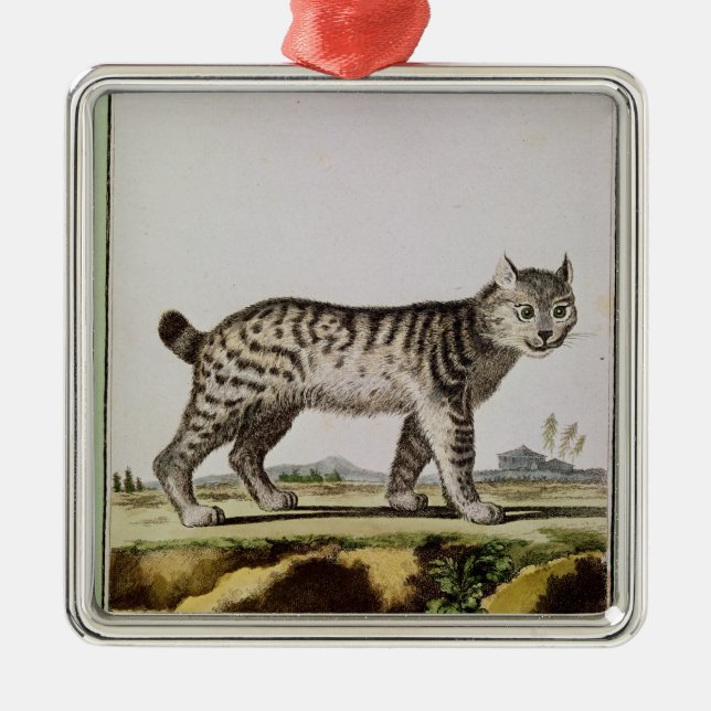 Ornamento De Metal Lince canadense (Frente)