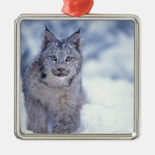 Ornamento De Metal Lince na neve nos contrafortes