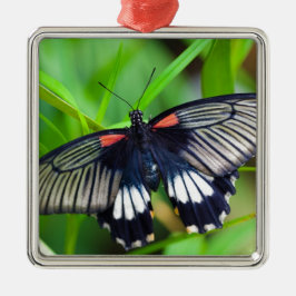 Ornamento De Metal Linda borboleta negra, branca e vermelha