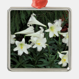 Ornamento De Metal Lírio-de-Natal (Lilium regale)